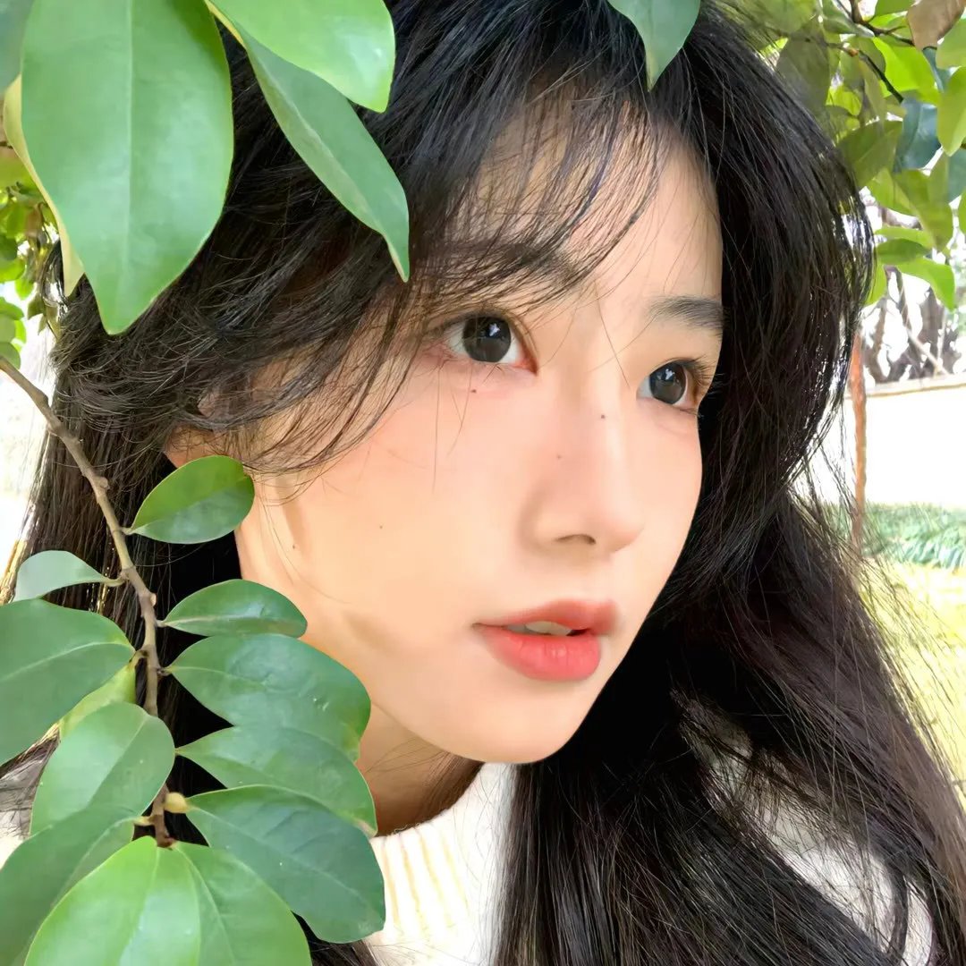 大力士：勇闯女人国